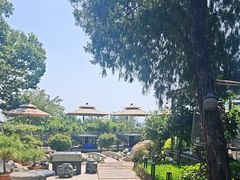 -蘇河湾·新鲁菜·泰山宴(泰山店)