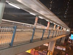 -油麻地果栏