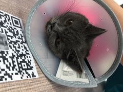 -荔康动物医院(康王北路店)