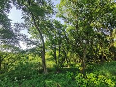 -西湖风景区-江洋畈生态公园