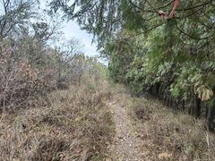 -青龙山国家森林公园