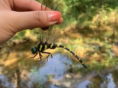 -碓臼峪自然风景区