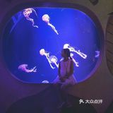三亚·亚特兰蒂斯，海豚宝宝等你来！每次都有新惊喜！