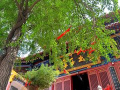 -宝通禅寺