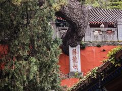 -潭柘寺景区