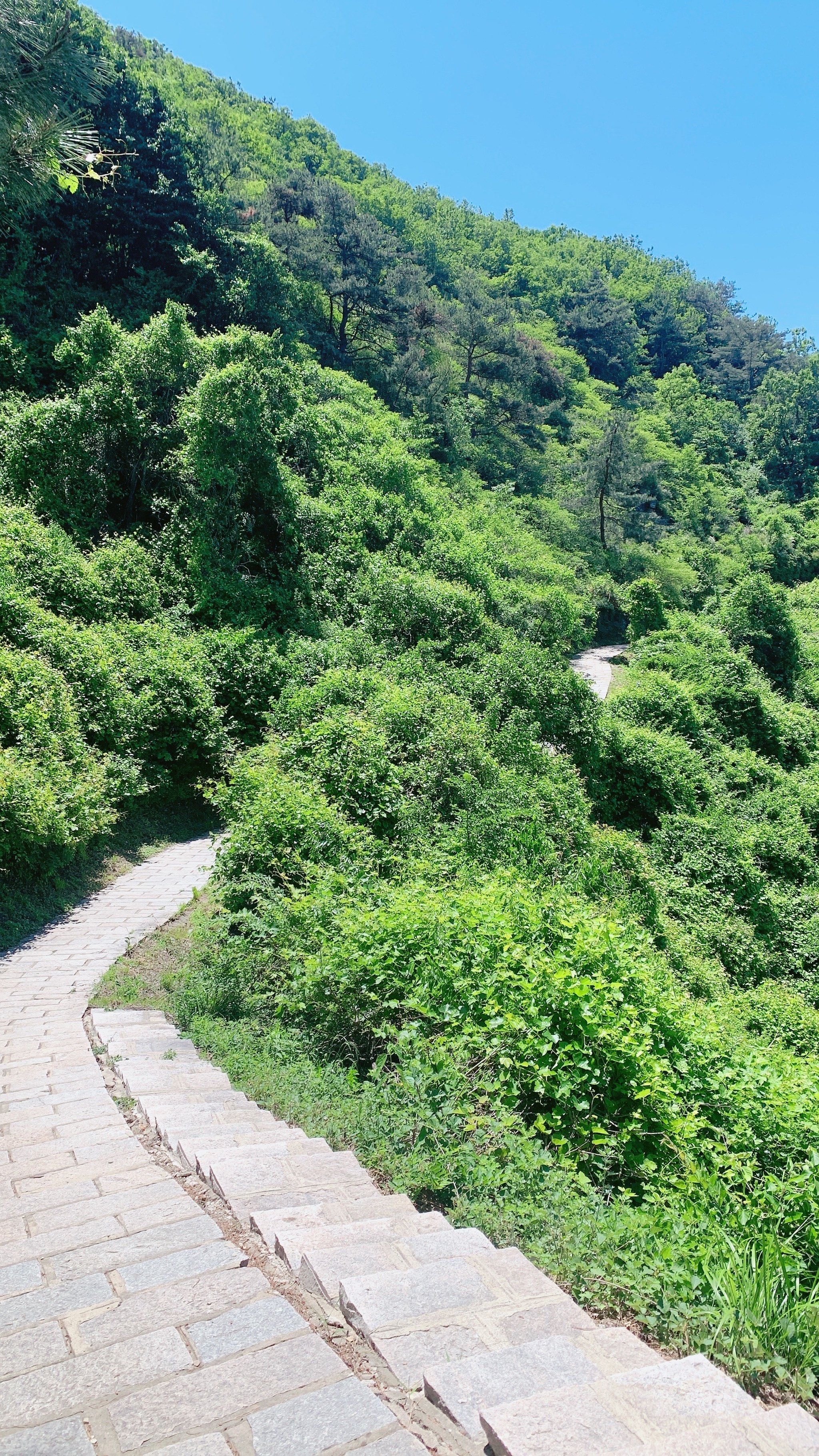 曲径通幽的山间路