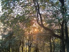 -阳台山森林公园