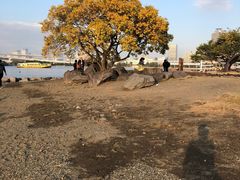 -台场海滨公园船码头