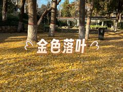 -保定市动物园