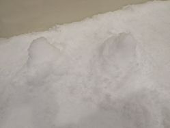 -Mr·Kuma酷么先生雪之乐园