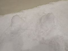 -Mr·Kuma酷么先生雪之乐园