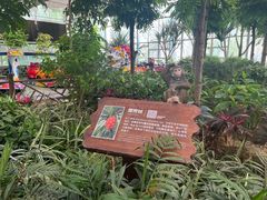 -南宫五洲植物乐园