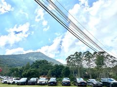 -黄埔油麻山森林公园