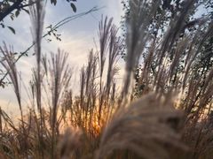 -汉长安城未央宫国家考古遗址公园