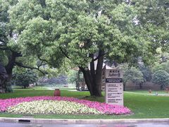 外景-上海兴国宾馆丽笙精选