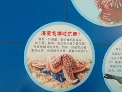 -上海海洋大学鱼文化博物馆(军工路校区)