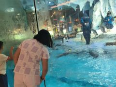 -帝企鹅自助餐厅•儿童岛•真企鹅(长隆企鹅酒店)