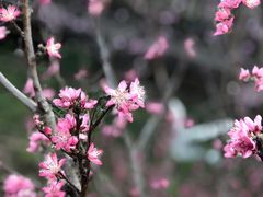 -仙海旅游度假区