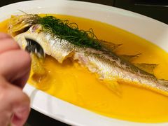 鸡油蒸黄鱼-玫瑰厅上海菜(兴国路店)