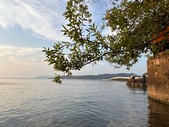 -苏州太湖国家湿地公园