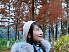 -重庆彩云湖湿地公园