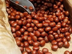 油栗-黑孩油栗皇(南阳路店)