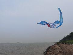 -上海滨江森林公园