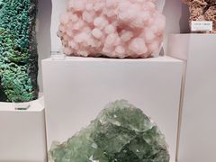 -重庆自然博物馆(新馆)