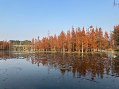 -白鹭湾湿地公园