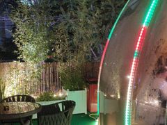 -羊门客在·烤盐池滩羊·川菜