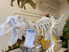 -布吉佳兆业广场