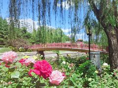 -元大都城垣遗址公园