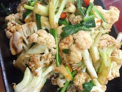 -邵年鸽(杨庄店)
