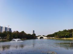 -映月湖公园