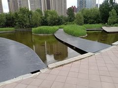 -长白岛森林公园