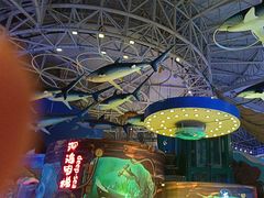-烟台海昌鲸鲨海洋公园