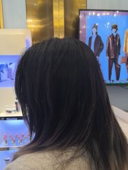 -YESIDO椰岛造型