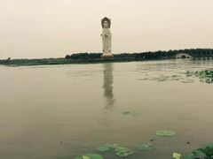 -白洋淀景区