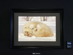 -罗红摄影艺术馆