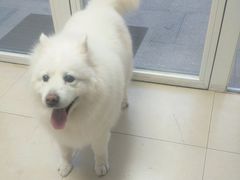 -宠福鑫康馨动物医院·骨科·眼科