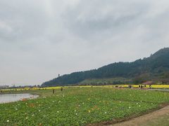 -径山花海