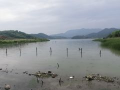 -鸣鹤古镇