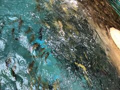 -波塞冬旅游度假区