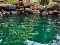 -天芳悦潭度假村温泉