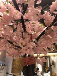 -简影造型·自选烫染接发salon