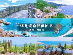 -广东惠东海龟国家级自然保护区