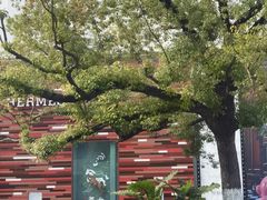 -杭州大厦宾馆