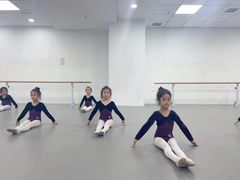 -西安小天鹅艺术团(金花路校区)