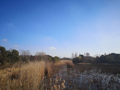 -上海市保健医疗中心