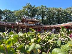 -建国蚵煎蚵面